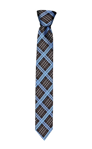 Silk Touch - Blue & Brown Diamond Skinny Tie