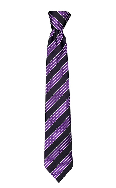 Silk Touch - Purple & Black Stripe Skinny Tie